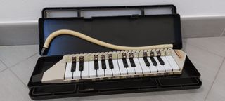 Fisarmonica Diamonica Bontempi anni '90