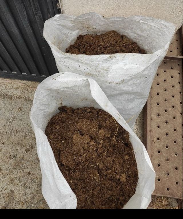 Estiércol Caballo -