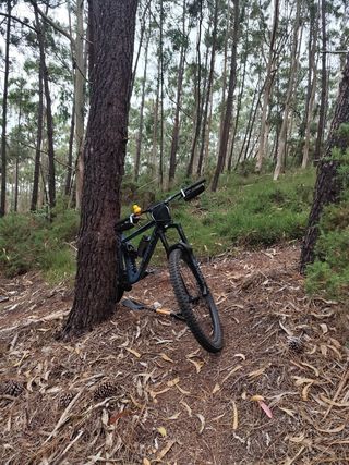Ghost Riot 2023 - MTB