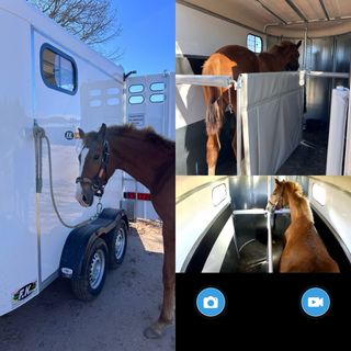 Transporte de caballos