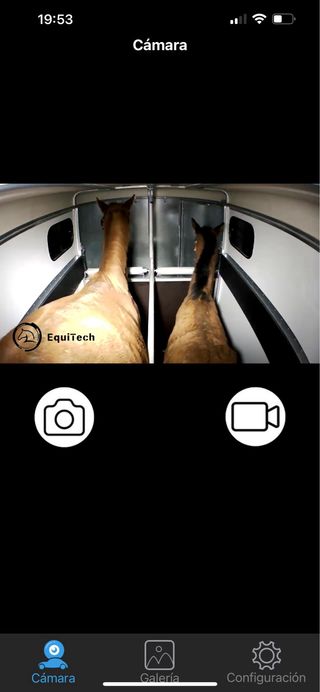 Transporte de caballos