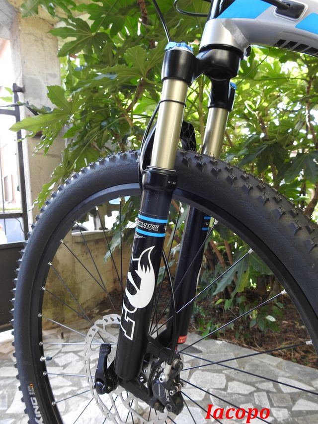 Mtb Giant Trance 27.5 1 custom