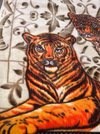 Manta  - Tigre y Leopardo