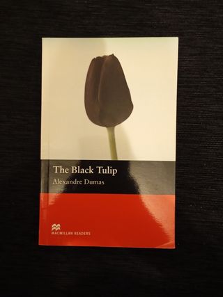 MR (B) Black Tulip, The (Macmillan Readers 2005)