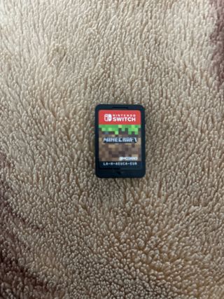 Minecraft Nintendo Switch