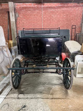 Coche caballos: elegante y clásico