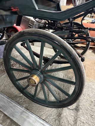 Coche caballos: elegante y clásico