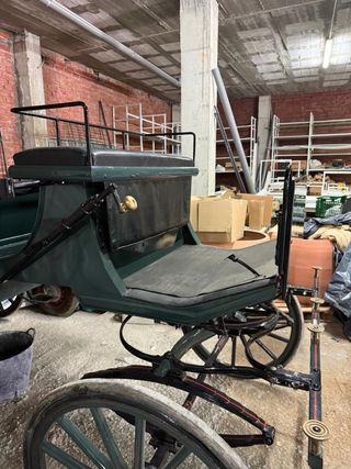 Coche caballos: elegante y clásico