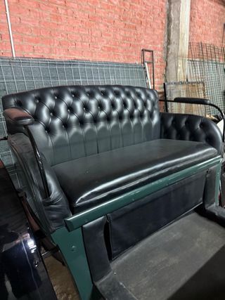 Coche caballos: elegante y clásico