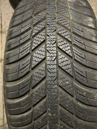 Neumáticos Nexen Nblue 4Season
205/55/16
