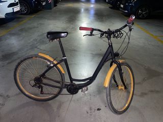 Bicicleta clásica paseo vintage
