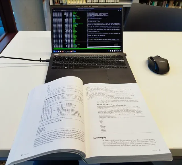 Informático Freelance: Servicio Profesional