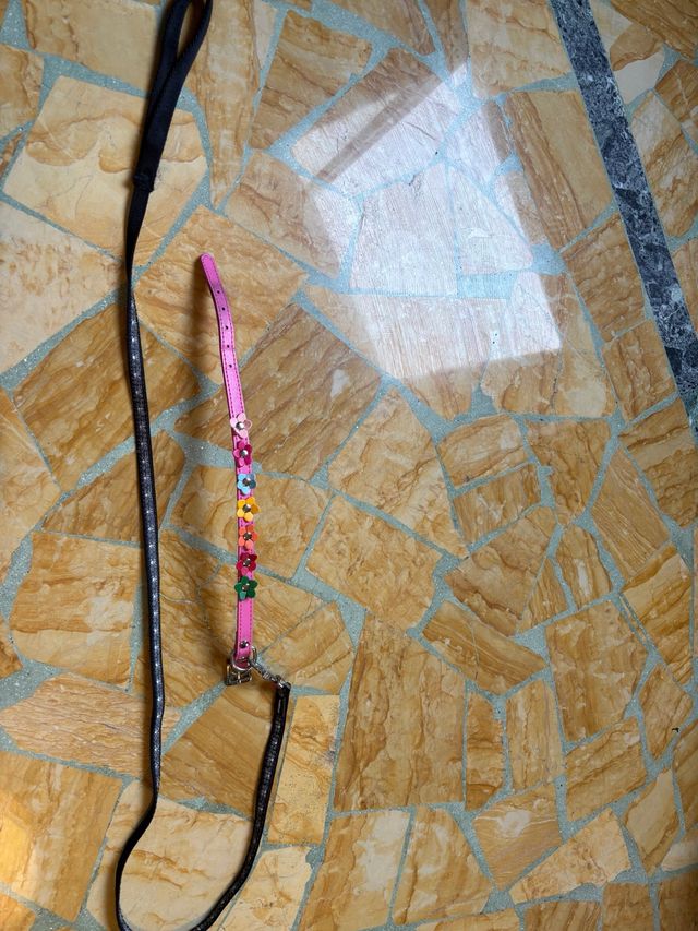 Collare e guinzaglio cane rosa e nero