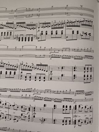 Partituras Schubert Klavier-Trios