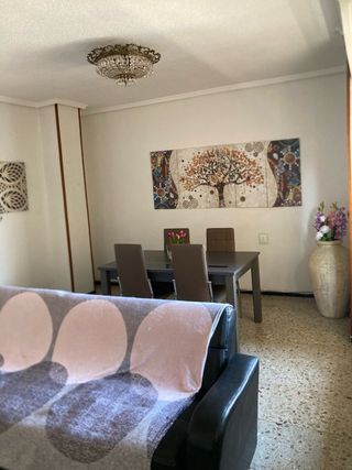 Vivienda piso alquiler profesorado