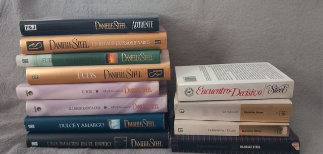 Lote Danielle Steel