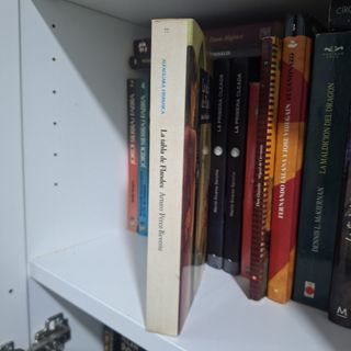 Lote Pérez Reverte tapa blanda grande