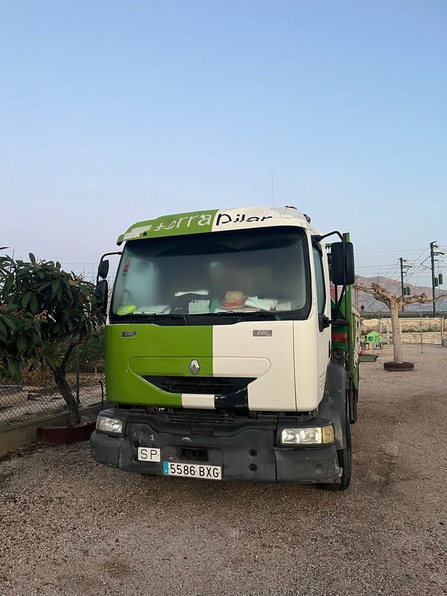 Camión Renault Midlum Grúa
