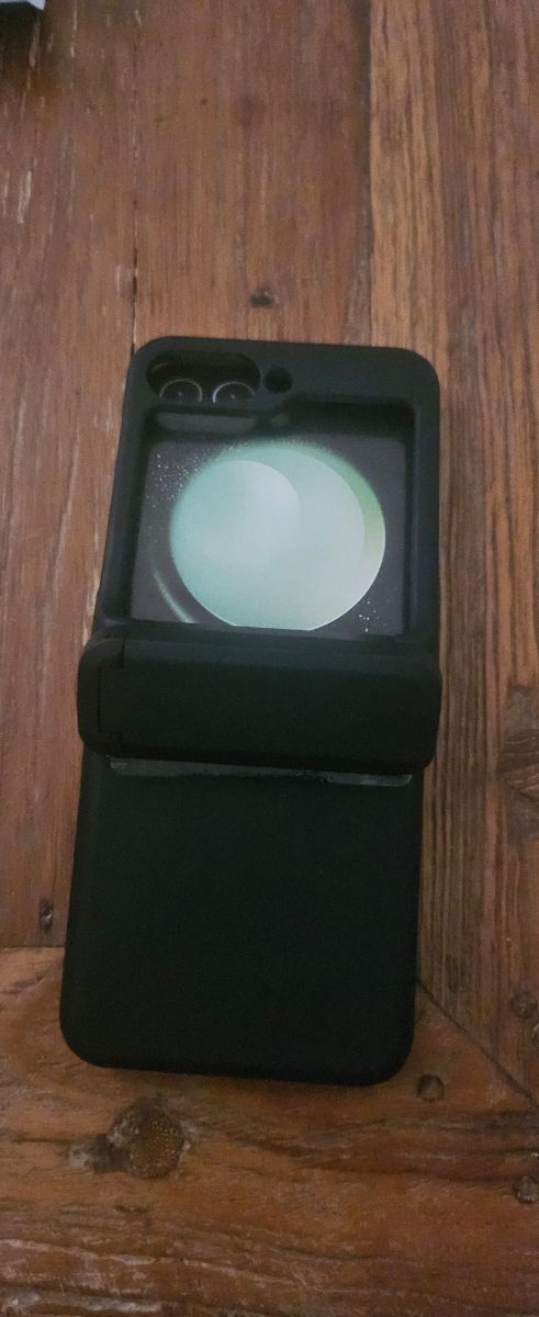 Custodia Samsung Z Flip5/6