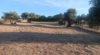 Terreno en venta en Yuncos