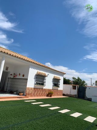 Cesped artificial - Jardin