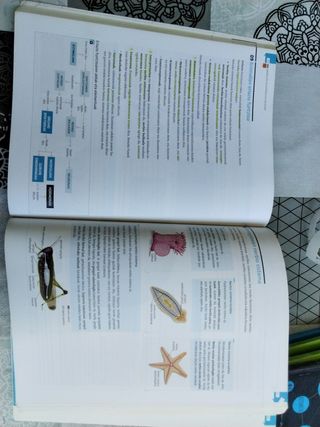 Biologia Eta Geologia, Batxilergoa 1