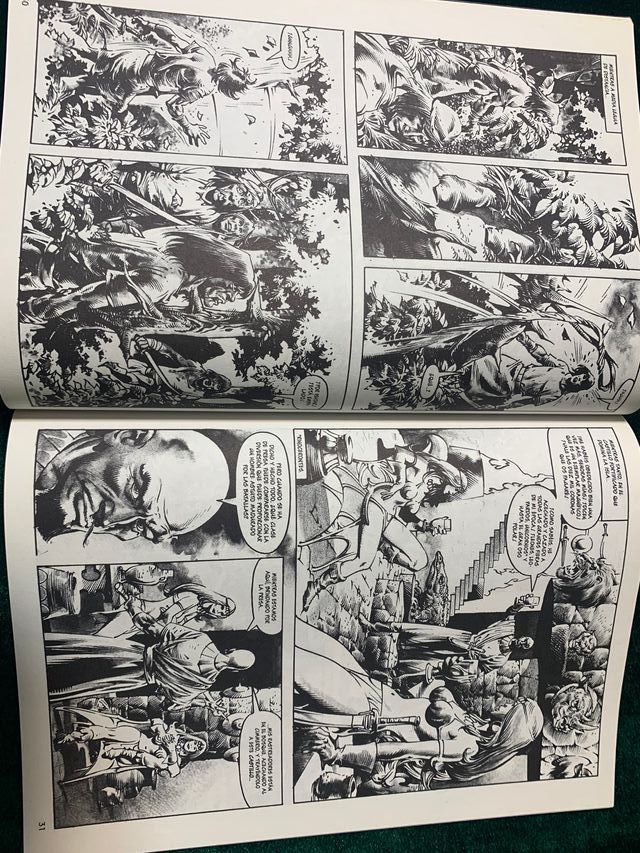 LA ESPADA SALVAJE No 25 » EDICCIÓN COLECCIONISTA