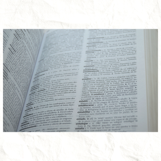 Diccionario Manual de la Lengua Española - Larouss