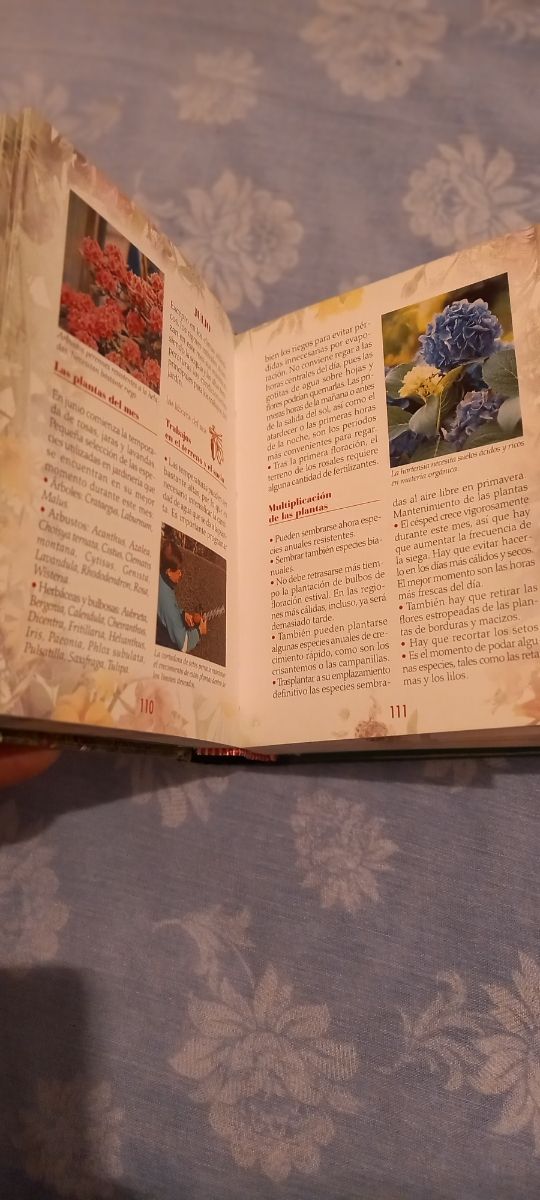 Cuidados de tu jardín