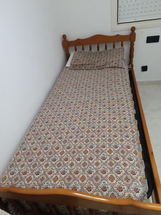 Alquiler in habitacion



