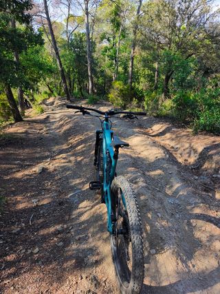 Specialized Turbo Levo SL