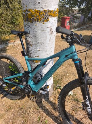 Specialized Turbo Levo SL