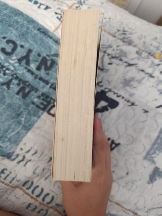 La mano de Fátima – Ildefonso Falcones | Historia