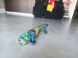Skate Homies El Palmar usado