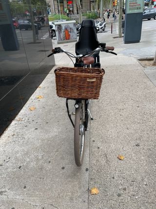 Bicicleta eléctrica Lekker holandesa