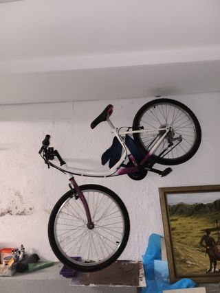 Bicicleta con poyete