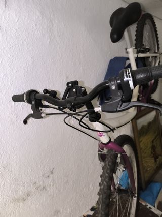 Bicicleta con poyete