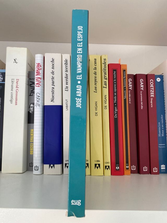 El vampiro en el espejo: Cine y sociedad