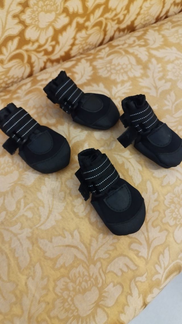 Botas perro pequeñas - negras