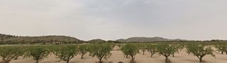 Terreno en venta en Tobarra