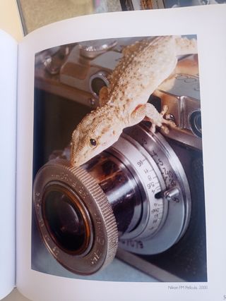 Fotos antiguas