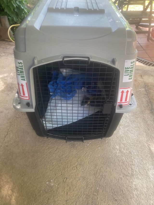 Transportín Perro Grande - Gris