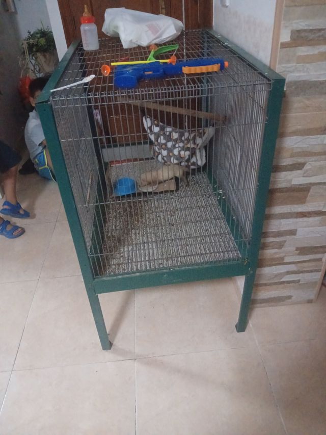 Jaula pajaros - Verde