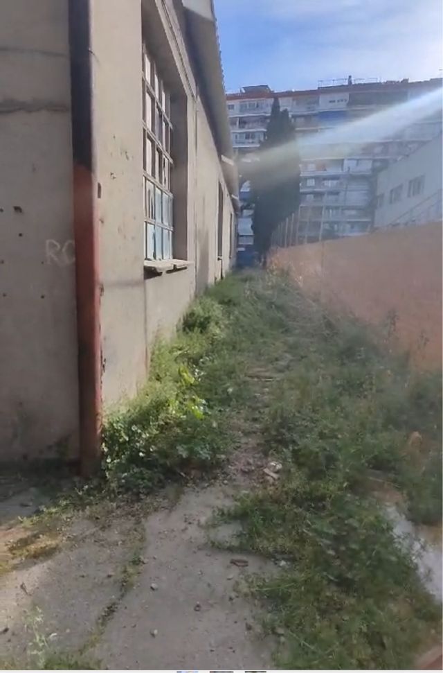 desbroce y limpieza de terreno