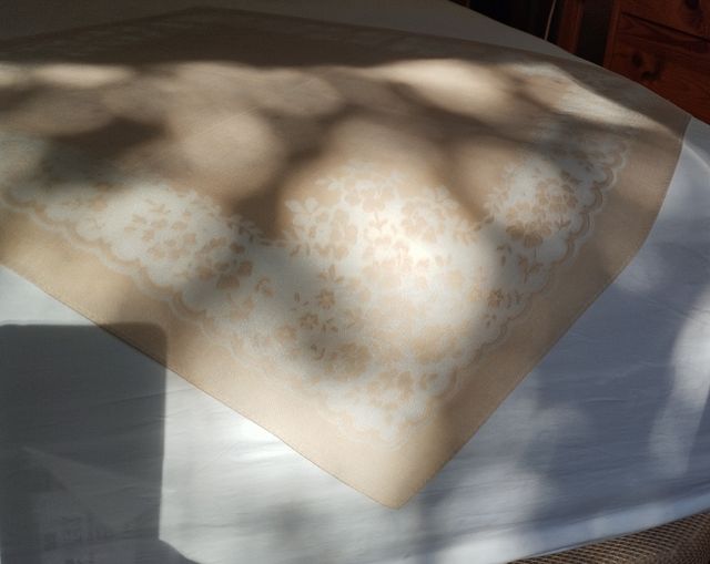 Servilletas encaje impreso en transparencia