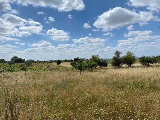 Terreno en venta en Arroyo de la Luz