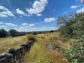 Terreno en venta en Arroyo de la Luz
