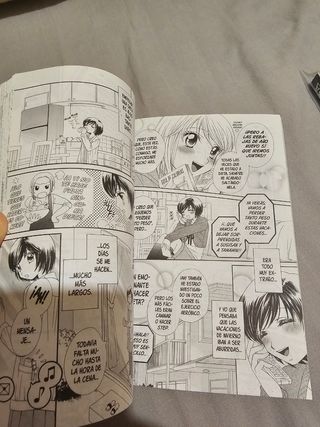 Pack Marmalade Boy Little y Girl friends Español