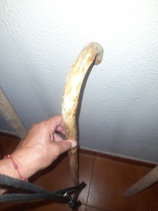 -2 Horcas
-2Bastón 1tayado
-2garrote con lema.1niñ