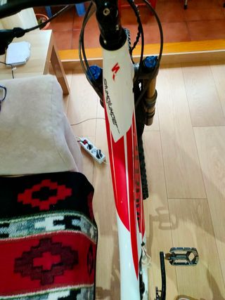 Bicicleta Enduro Specialized stumpjumper 29" Doble